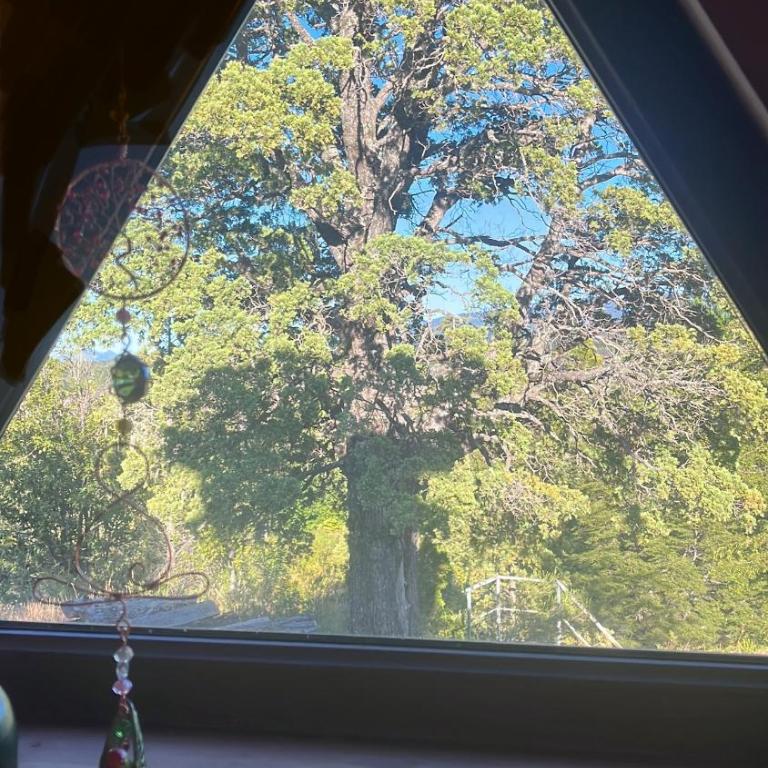 Domo Conguillio, Salto Truful Truful - One-Bedroom Chalet - 17