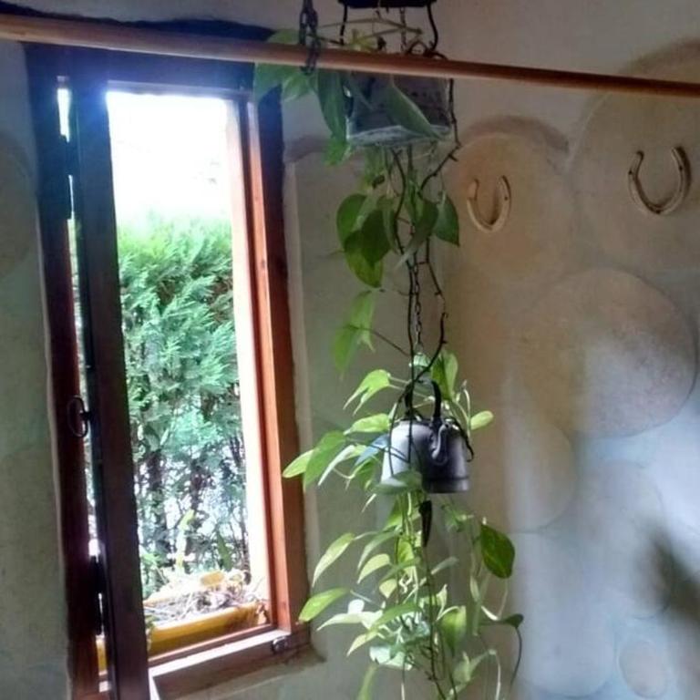 Casa El Vivero Para Quien Ama La Naturaleza - Two-Bedroom Chalet - 16