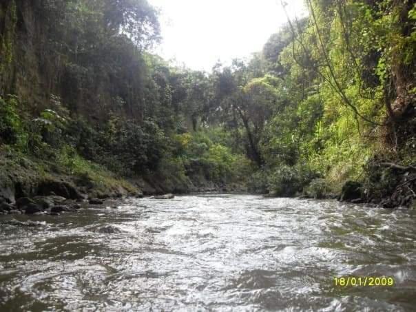 Casa Campestre para Descansar Girardot - Three-Bedroom Villa - 15