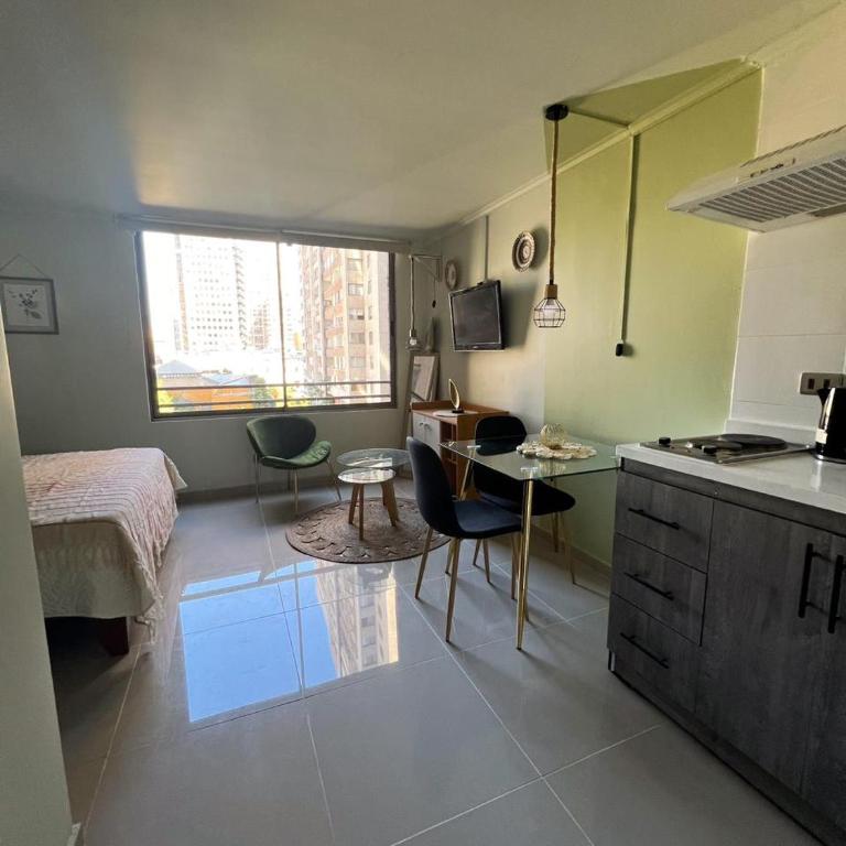 VIVIR EN SANTIAGO CENTRO - One-Bedroom Apartment - 8