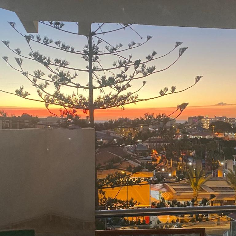 Epicentro Maspalomas - One-Bedroom Apartment - 1