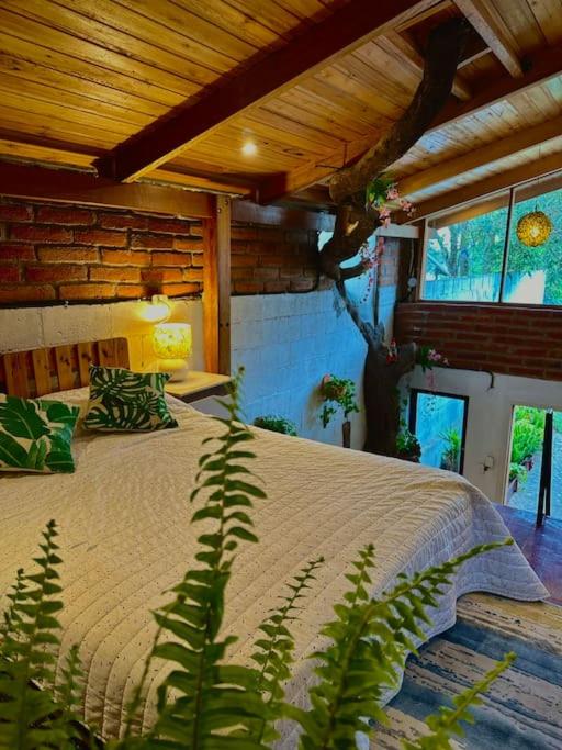 Casa del árbol - Mitad del mundo - One-Bedroom Apartment - 2