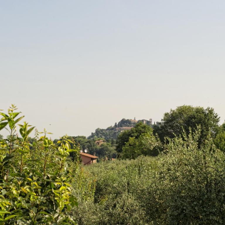 Agriturismo I Roseti - Appartamento con 1 Camera da Letto - 47