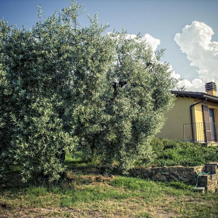 Agriturismo I Roseti - Appartamento con 1 Camera da Letto - 43
