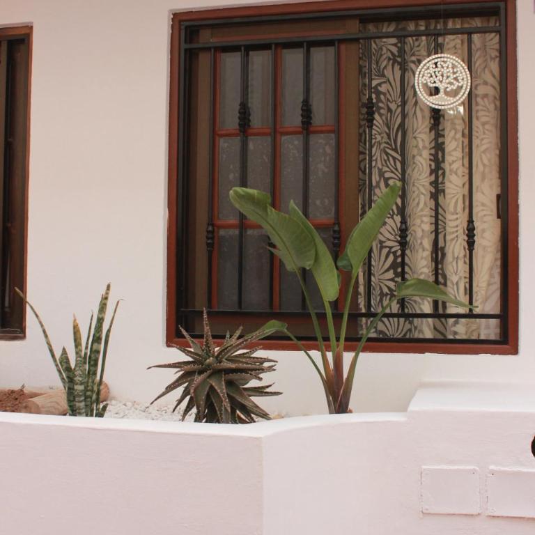 Tipaki Home Los Cristianos - Apartamento de 1 dormitorio - 18