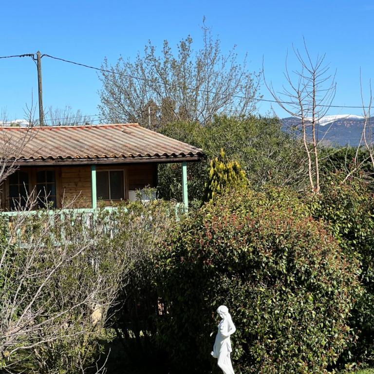 Chalets 1 MESANGE BLEUE Roquebrune Sur Argens - Chalet - 2