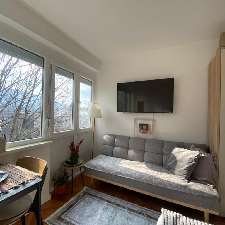 Studio Central Apartment - Apartman sa 1 Spavaćom Sobom - 8