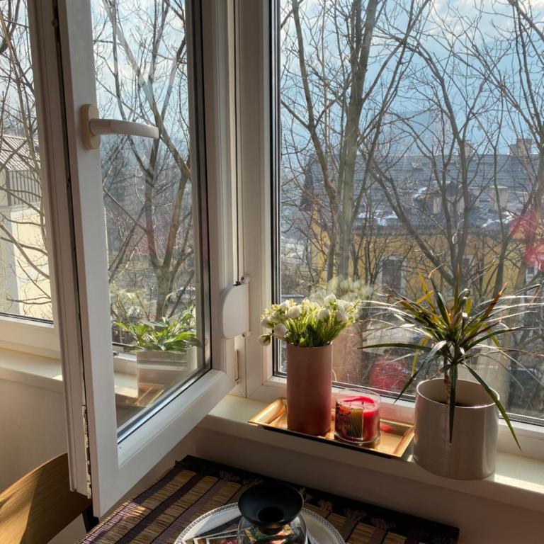 Studio Central Apartment - Apartman sa 1 Spavaćom Sobom - 17
