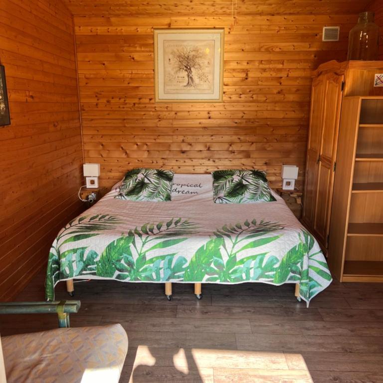 Chalets 1 MESANGE BLEUE Roquebrune Sur Argens - Chalet - 7