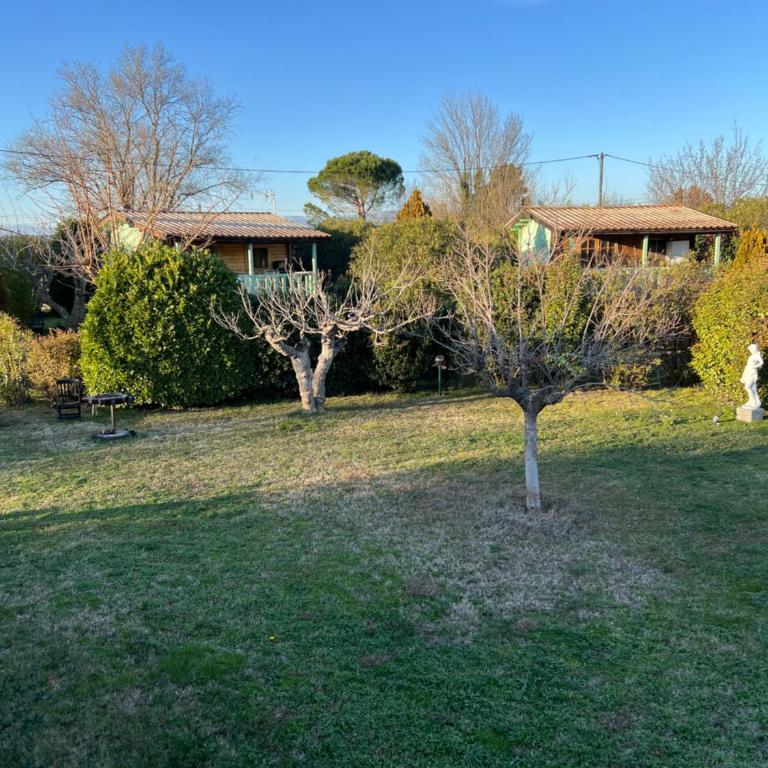 Chalets 1 MESANGE BLEUE Roquebrune Sur Argens - Chalet - 3