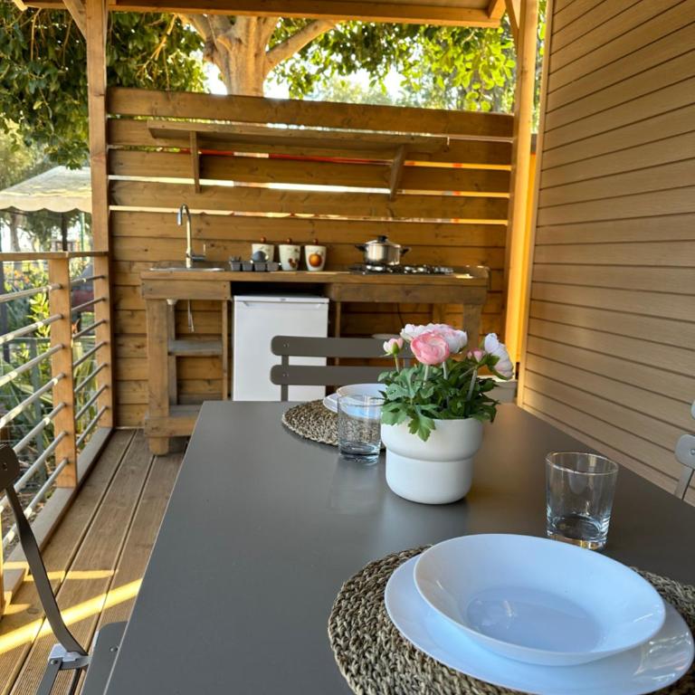Il Pampaleone Glamping and Resort - Casa Mobile - 11