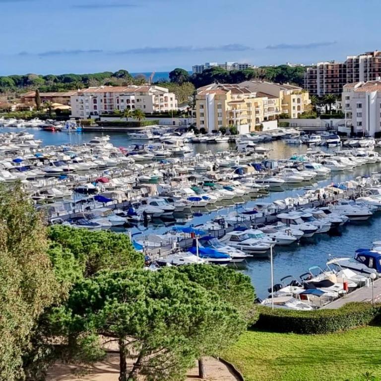 Studio avec vue sur Marina et Mer - 2 adultes et 1 enfant maximum - Appartement 1 Chambre - 1