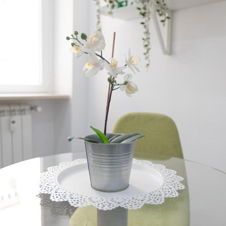 247 Luxury Rooms Trastevere - Deluxe Double Room with Balcony - 26