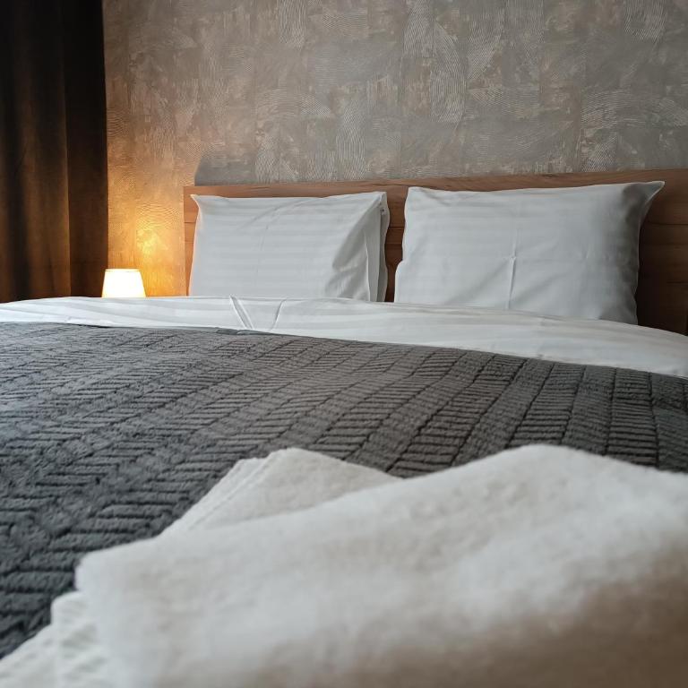XL apartments, Residence Hill, Kopaonik - Studio Apartment - 10