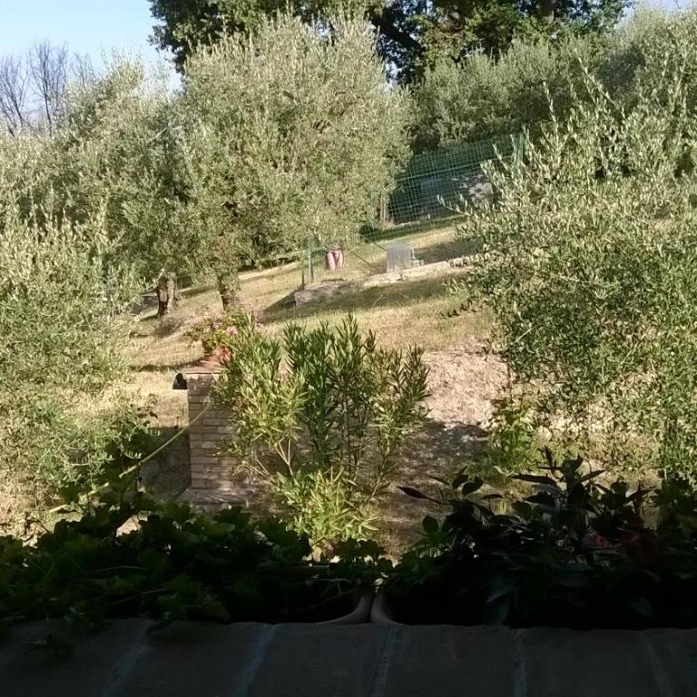 Agriturismo La Cantina San Martino - Camera Matrimoniale Standard - 3