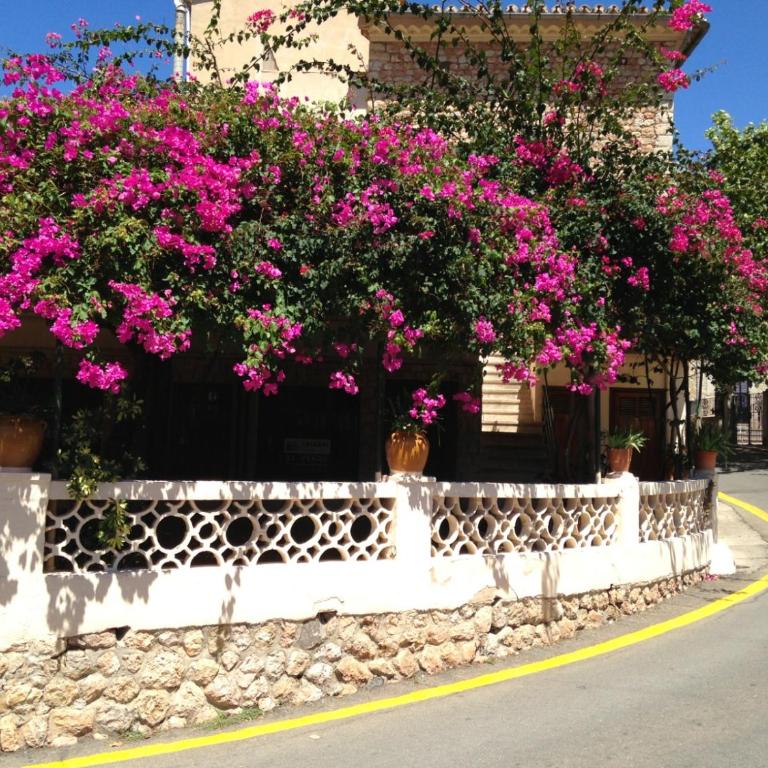 Casa La Mariposa, luxury & cosy apartment with pool view, 5p, Ciudad Quesada - Appartement 2 Chambres - 34