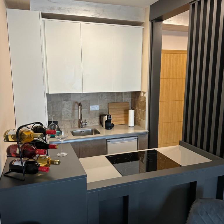 Garden Lux Zlatibor - Apartman sa 1 Spavaćom Sobom - 9