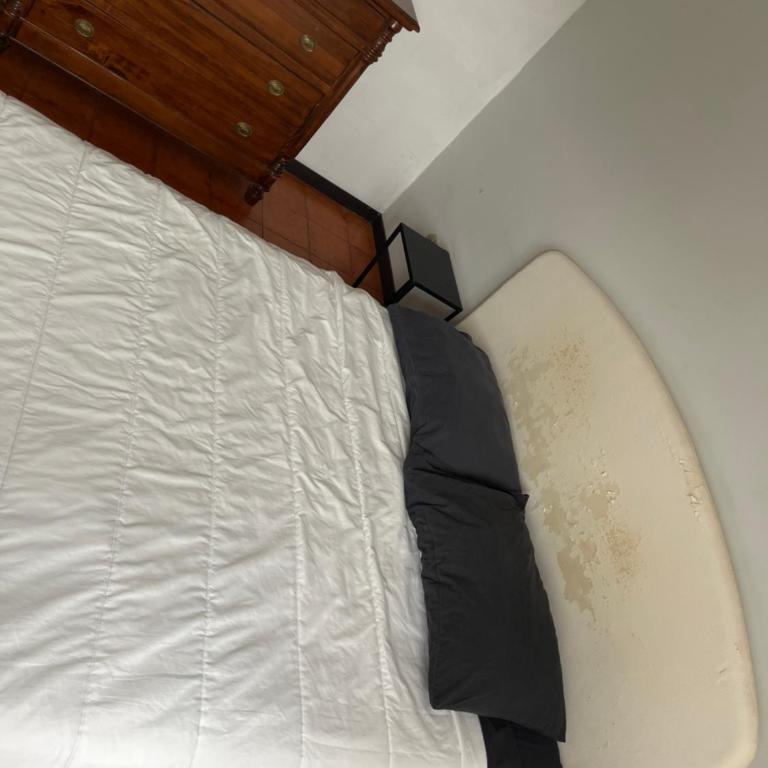 Ciamarra Guesthouse PET FRIENDLY dog and cat accepted - Camera Matrimoniale Standard - 2