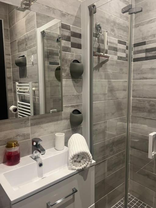Le Laurier-rose - Apartamento de 1 dormitorio - 24