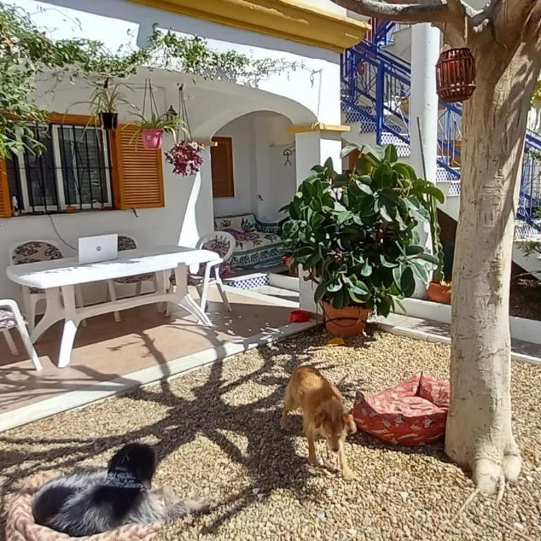 Casa Chiki - Apartamento - Planta baja - 2