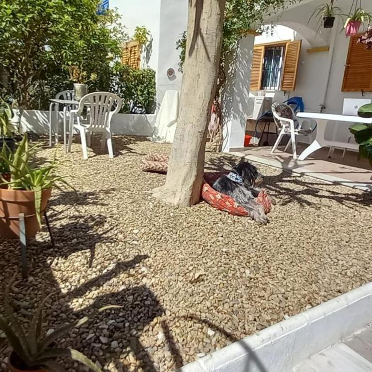 Casa Chiki - Apartamento - Planta baja - 7