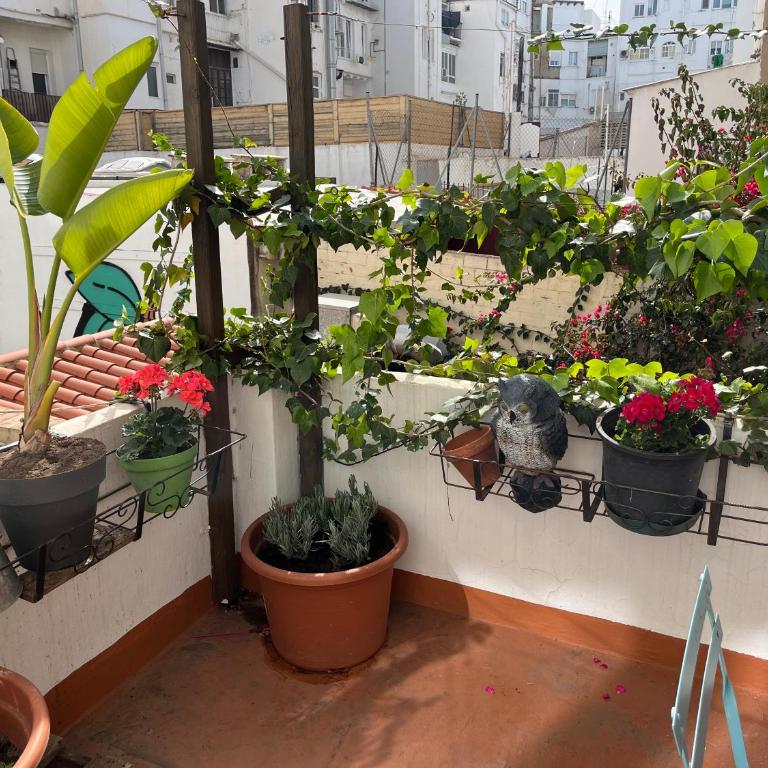 Apartamento Ruzafa Centro II - Apartment - 18