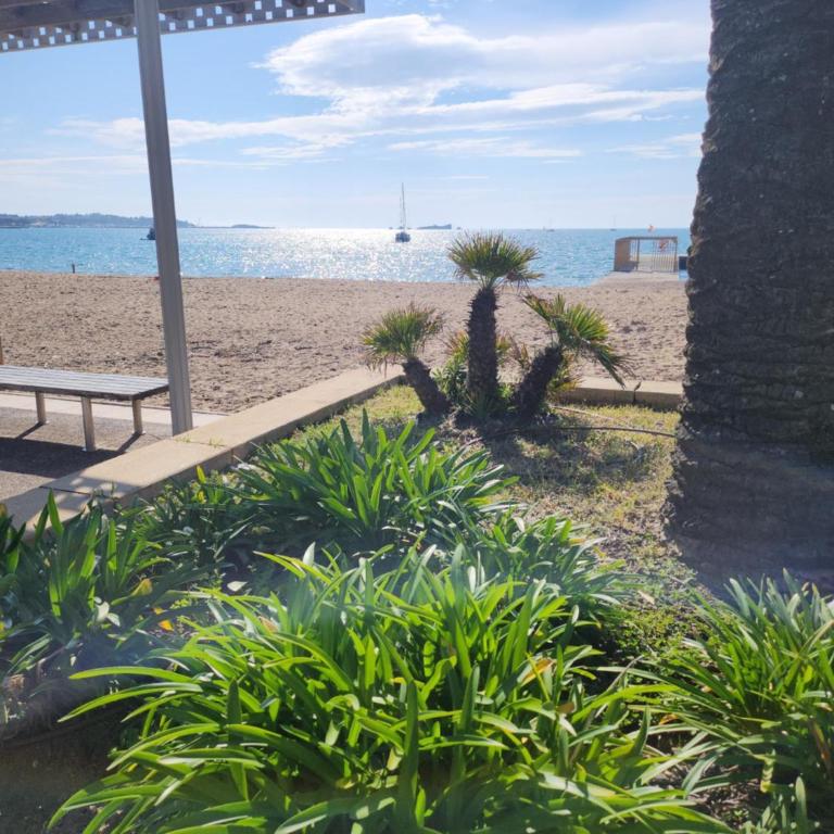 STUDIO de VACANCES FREJUS PLAGE - Appartement 1 Chambre - 14