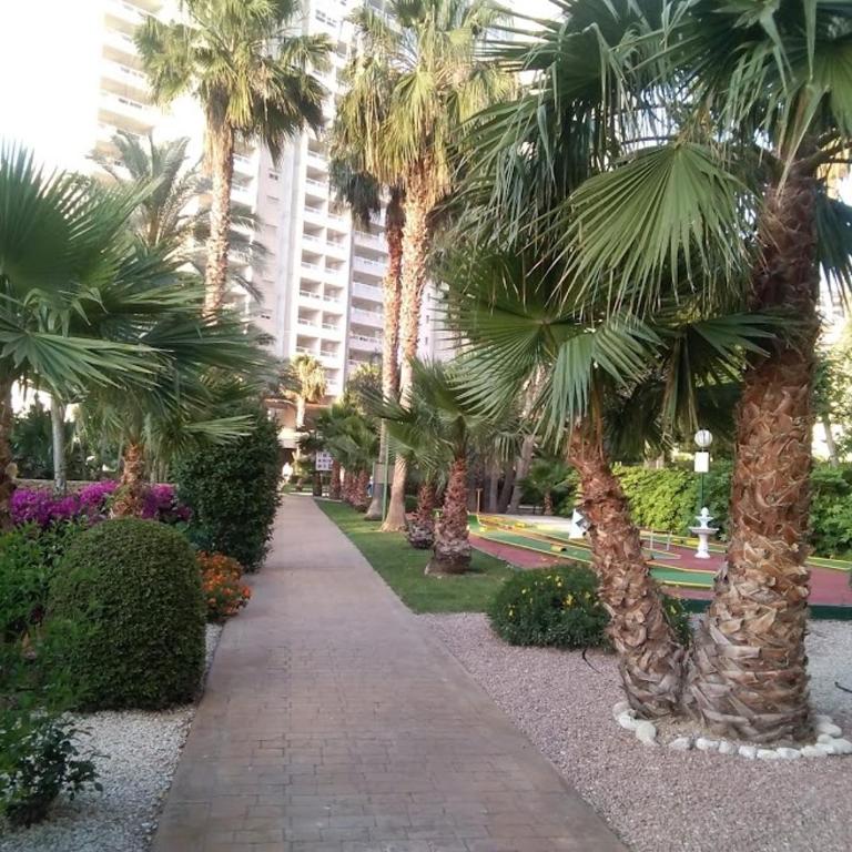 Skyline gemelos 22 TRG - Three-Bedroom Apartment - 33