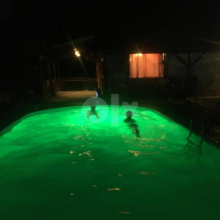 "River paradise" Vikendica sa bazenom, ladarom i kaminom na samoj obali Vrbasa Banja Luka - Kuća sa 1 Spavaćom Sobom - 8