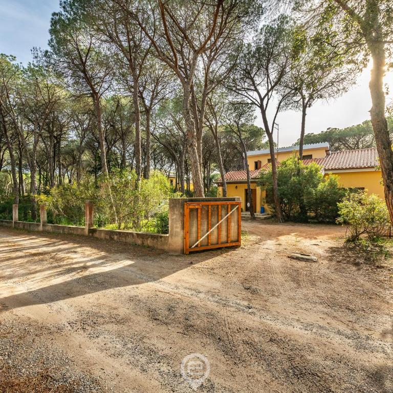 Seaside Pineta Retreat - Villa - 41