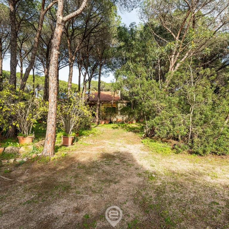 Seaside Pineta Retreat - Villa - 38