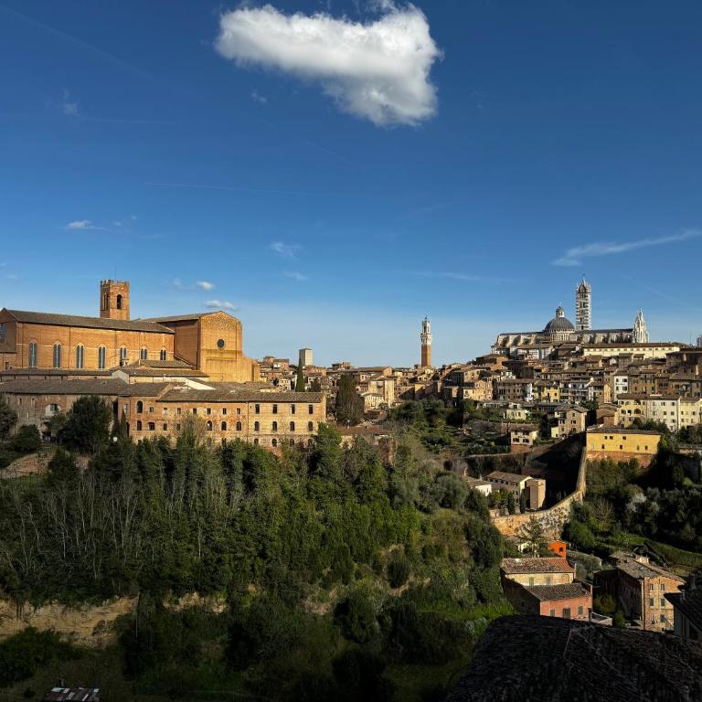SKYLINE Siena - Appartamento con 1 Camera da Letto - 24
