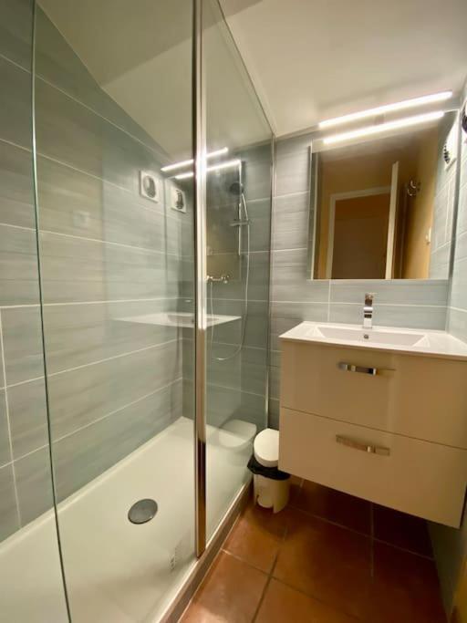 Appartement dans résidence avec piscine - Appartamento con 1 Camera da Letto - 11