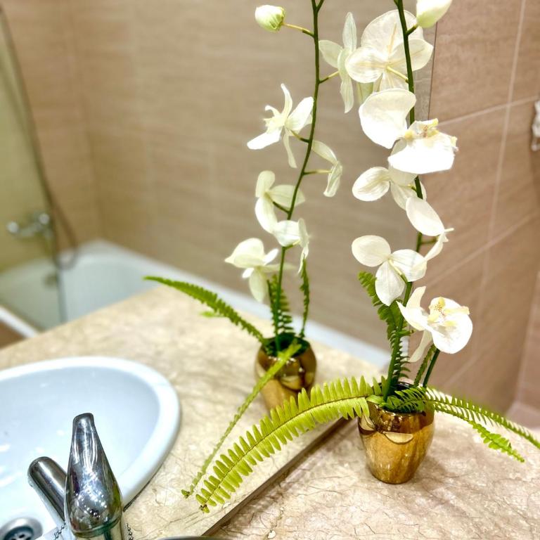 GATU Cream, terraza, parking, aire acc, piscina común " Preferente mayores de 25 años y familias " - Apartamento de 2 dormitorios - 17