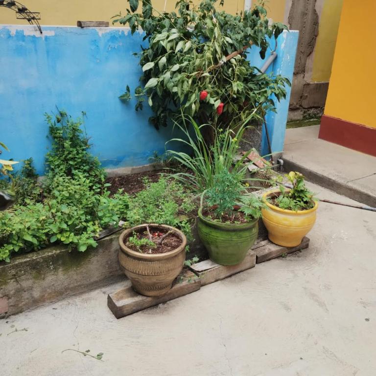 Casa Abuelito's Andean Haven - Two-Bedroom House - 10
