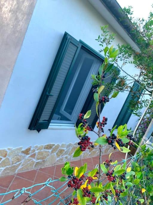 Casa Perla Iridella - Casa con 1 Camera da Letto - 11