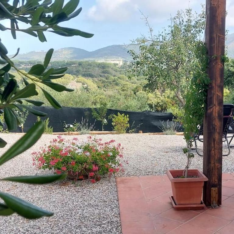 Casa Perla Iridella - Casa con 1 Camera da Letto - 23