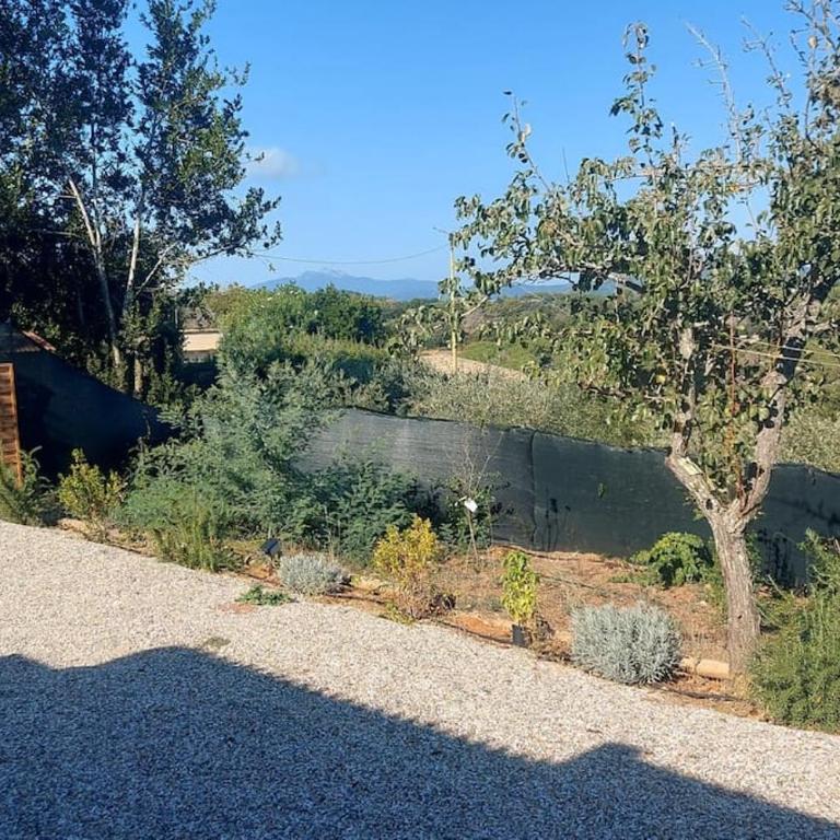 Casa Perla Iridella - Casa con 1 Camera da Letto - 26