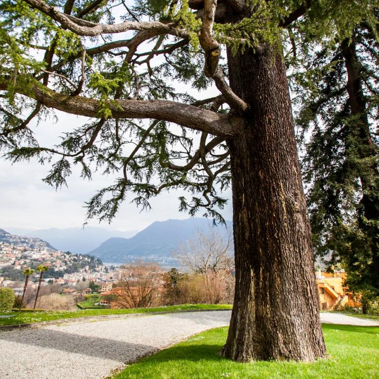 Villa Baragiola - Appartamento con 2 Camere da Letto - 54