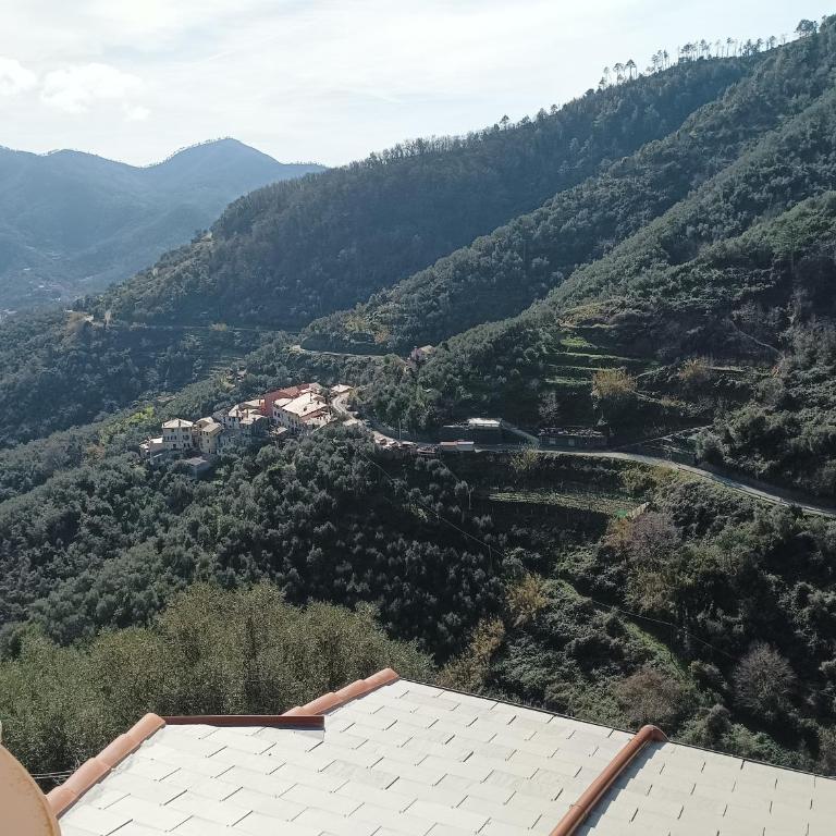 CASA LORENZO SULLE COLLINE DI LEVANTO e VICINO ALLE CINQUETERRE LT-0620 - Appartamento - 20