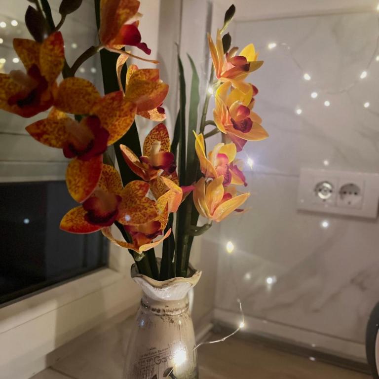 Stan 23 - Apartman sa 1 Spavaćom Sobom - 14