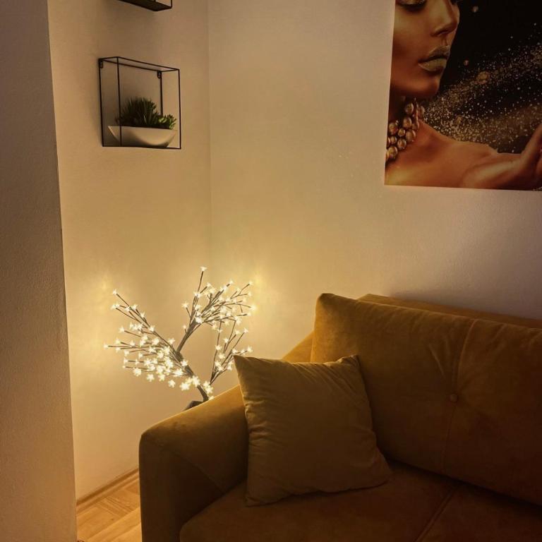 Stan 23 - Apartman sa 1 Spavaćom Sobom - 10