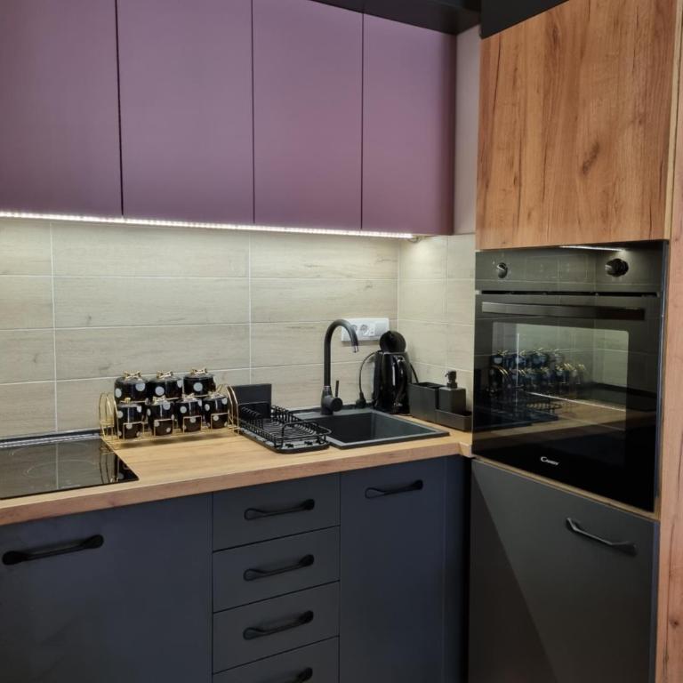 MONA Apartman Divčibare - Apartman sa 1 Spavaćom Sobom - 4