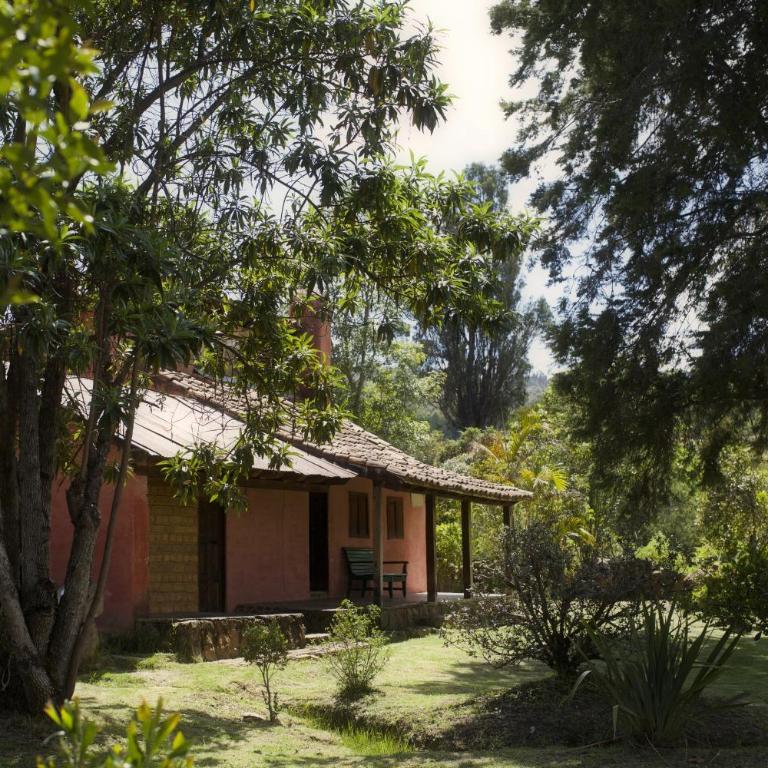 Hotel Ráquira Silvestre Lodge - Bungalow (3 - 7 adultos) - 11