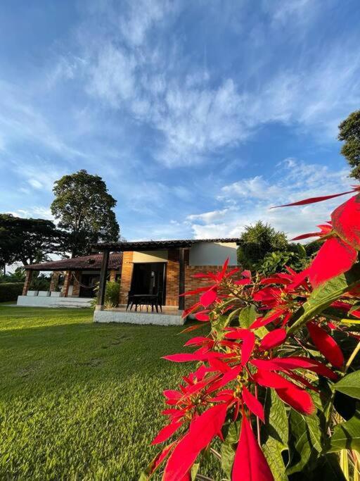Alojamiento Rural Majapai - Casa de 3 dormitorios - 18