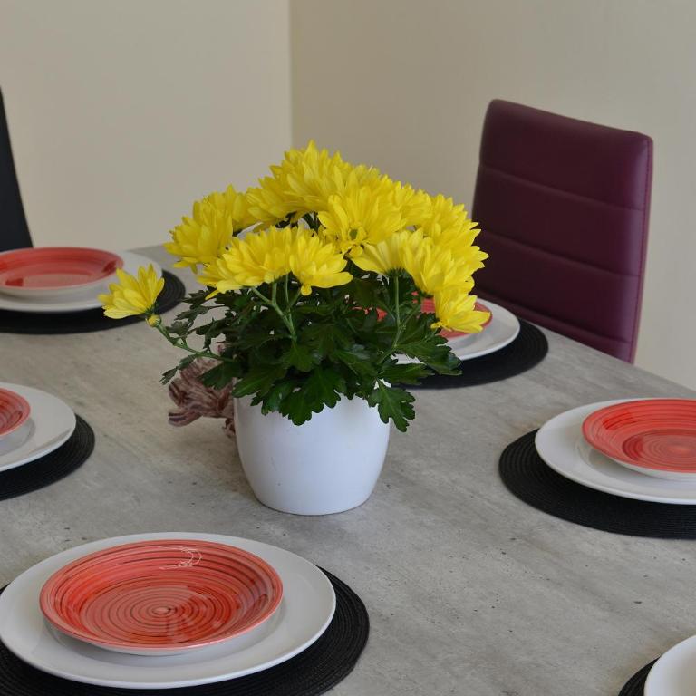 Appartamento Ginestra - Two-Bedroom Apartment - 16