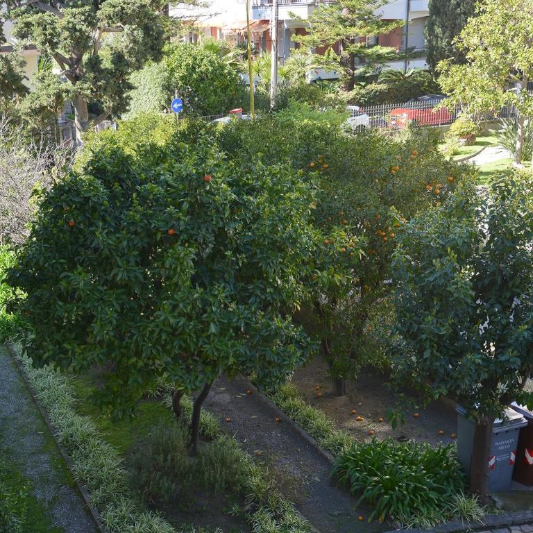 Appartamento Ginestra - Two-Bedroom Apartment - 17