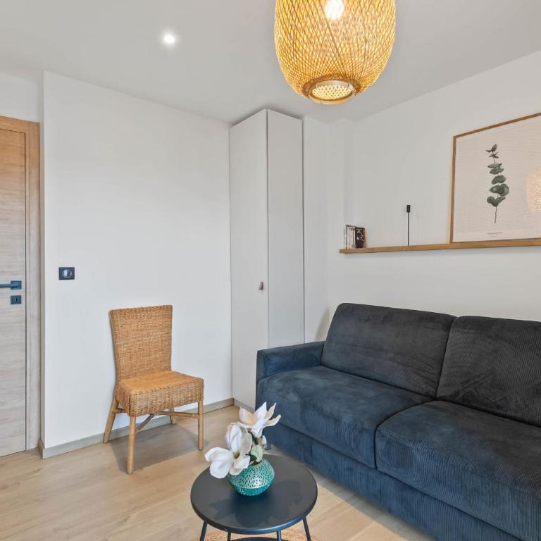 Lapis lazuli - T3 parking proche lac - Apartment - 20