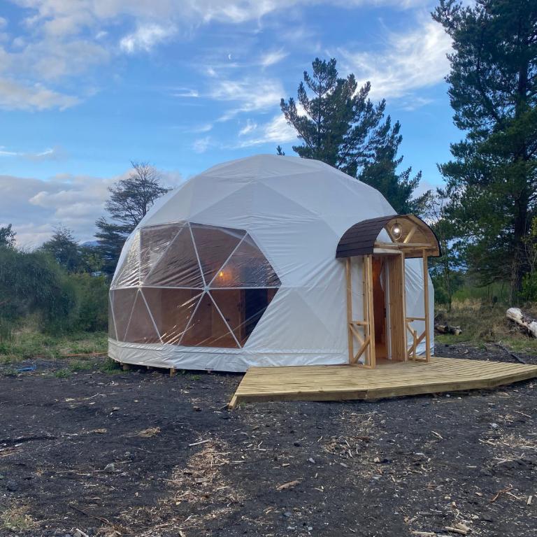 Lodge Domos Awen - Vacation Home - 21