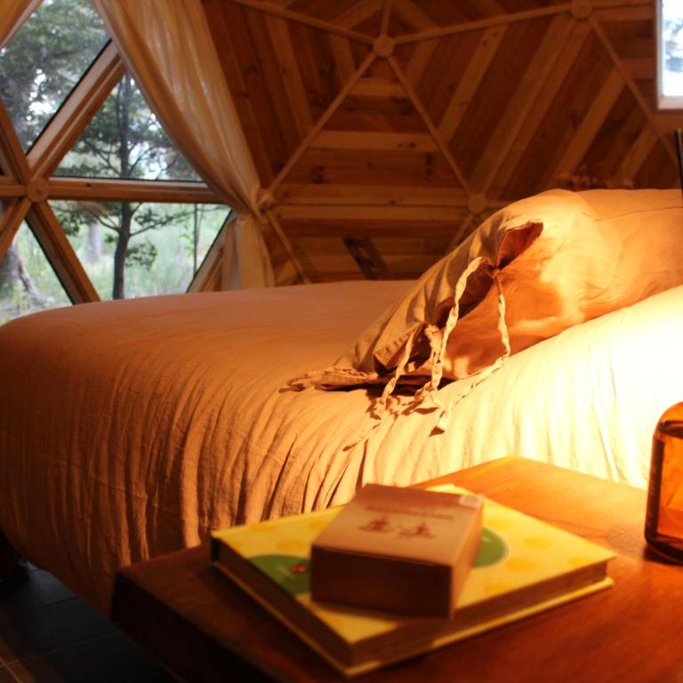 Lodge Domos Awen - Vacation Home - 11